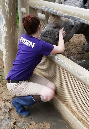 Rhino Intern Rhino Intern